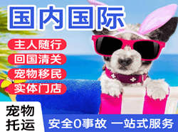 晋江航空空运国际宠物托运 【国